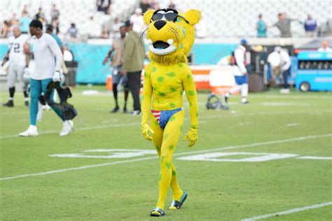 Jaguar mascot cosfume